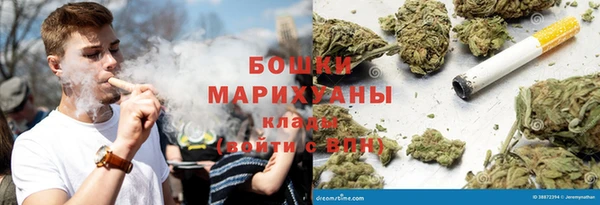 PSILOCYBIN Беслан