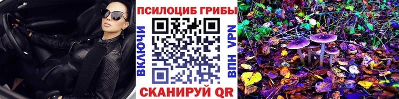 blacksprut tor  Смоленск  Галлюциногенные грибы мицелий 