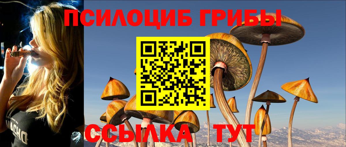 Псилоцибиновые грибы мицелий  Вход с VPN  Смоленск  Псилоцибиновые грибы MAGIC MUSHROOMS 