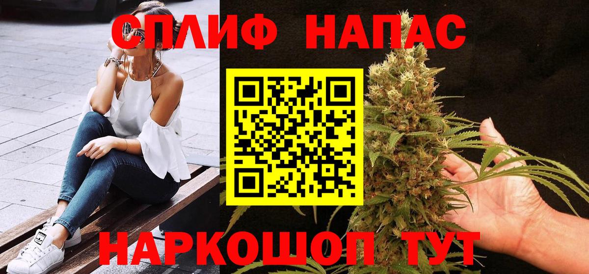 Каннабис сатива Смоленск